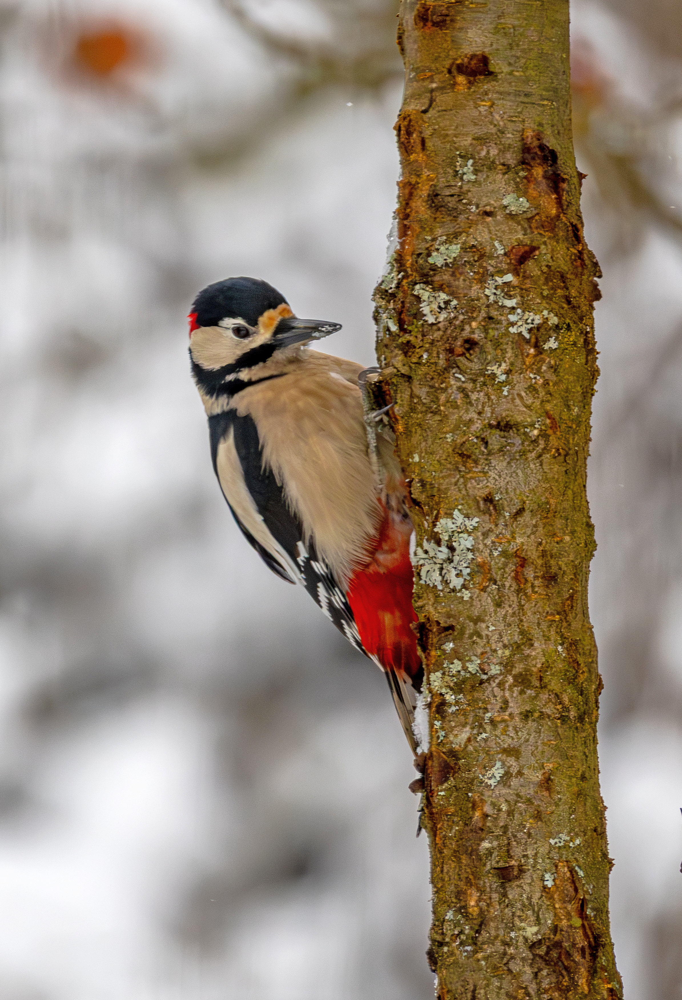 Stonhenge in Tiefenpölz