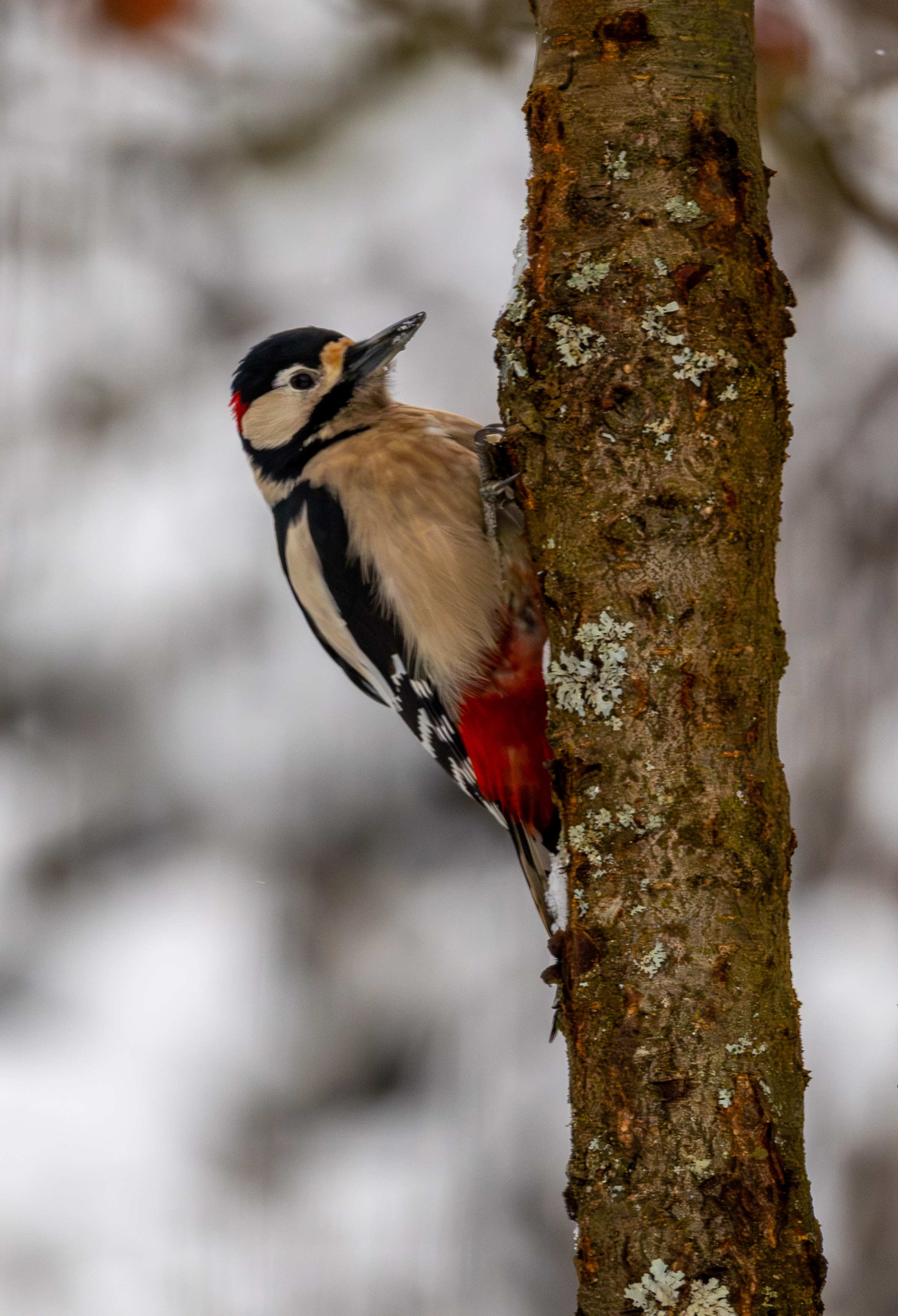 Stonhenge in Tiefenpölz