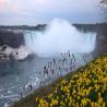 images/Niagara/Niag-028.jpg