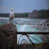 images/Niagara/Niag-033.jpg