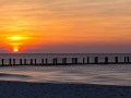 bild m bild m