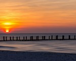 bild m bild m