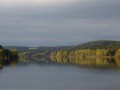 bild m bild m