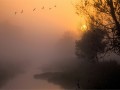 bild m bild m