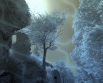 bild m bild m