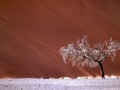 bild m bild m