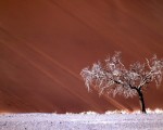 bild m bild m