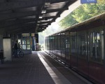 bild m bild m
