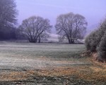 bild m bild m