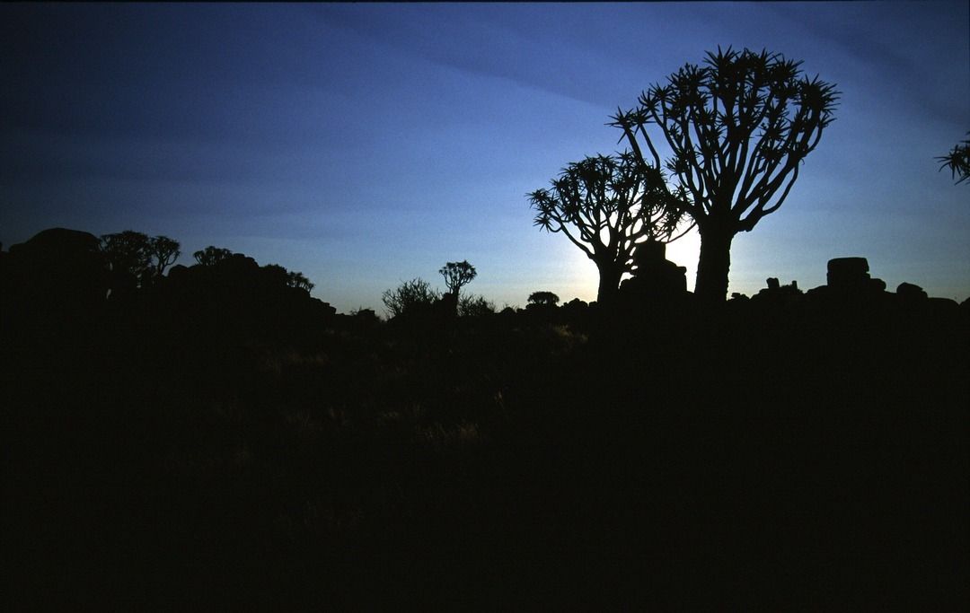 namib