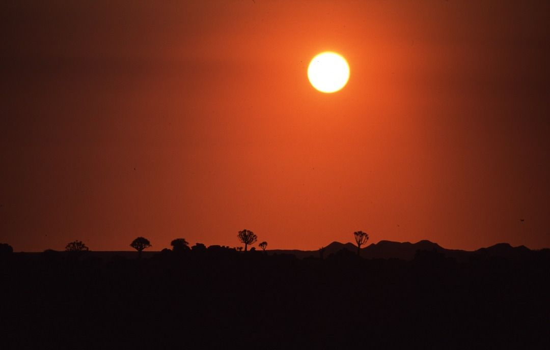 namib