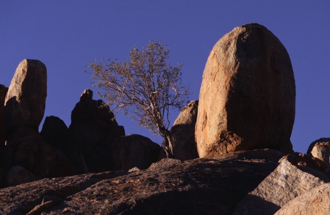 namib