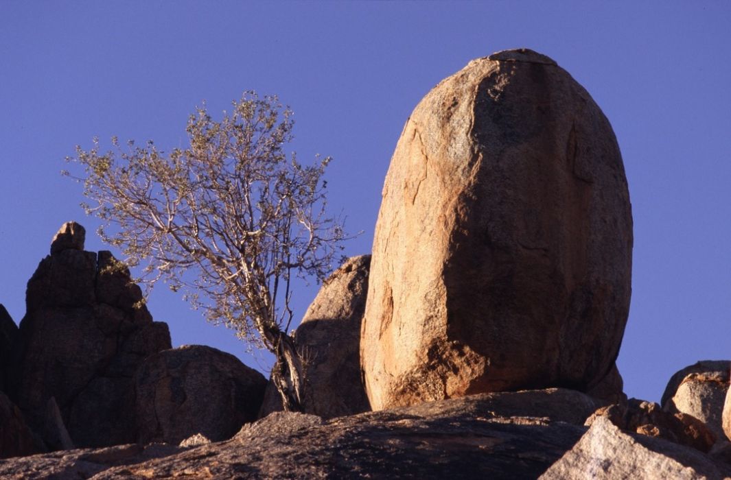 namib