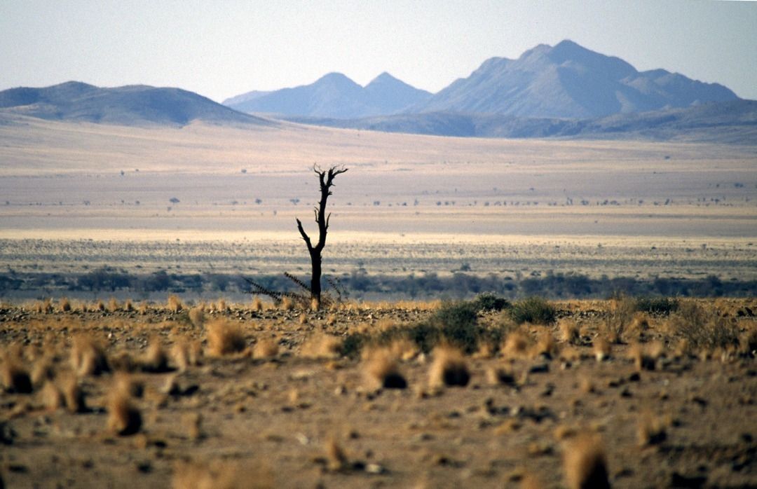 namib