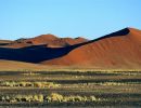 namib