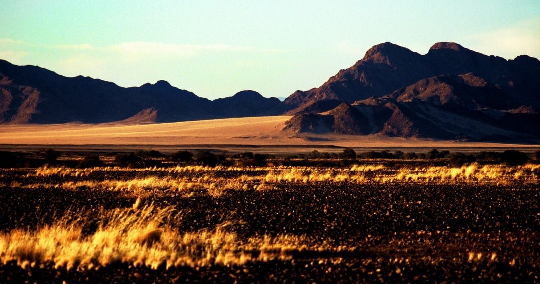 namib