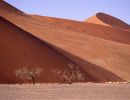 namib