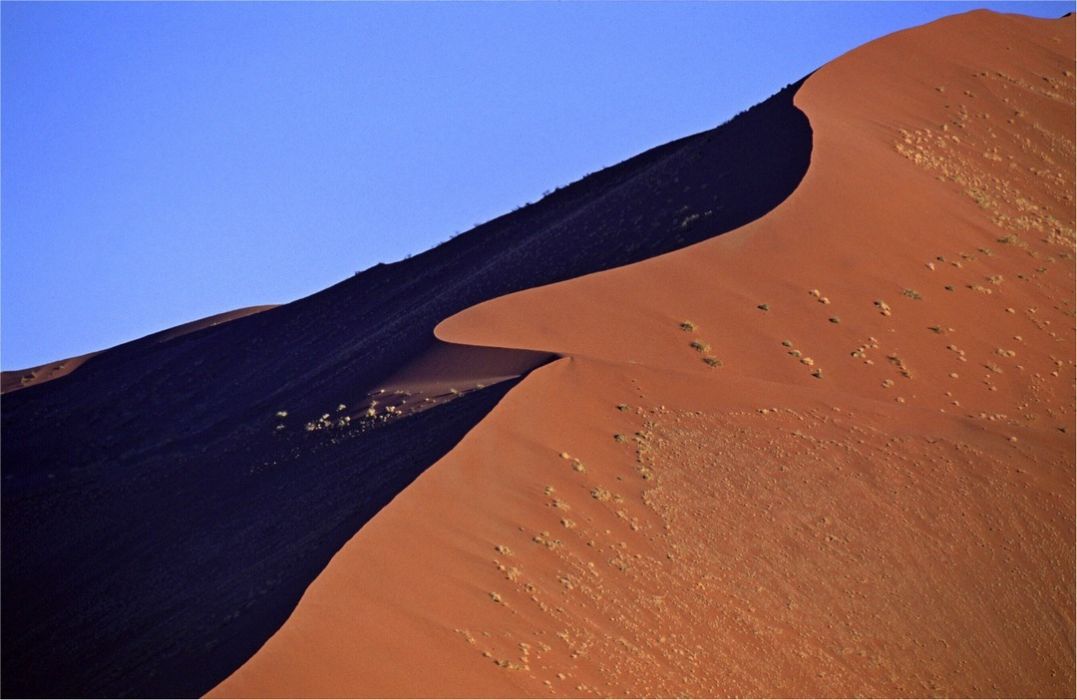 namib