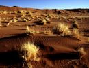 namib