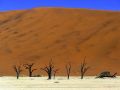 namib