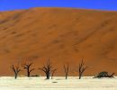 namib
