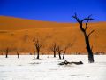namib