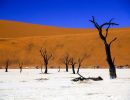 namib