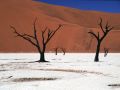 namib