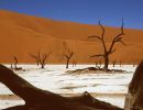 namib