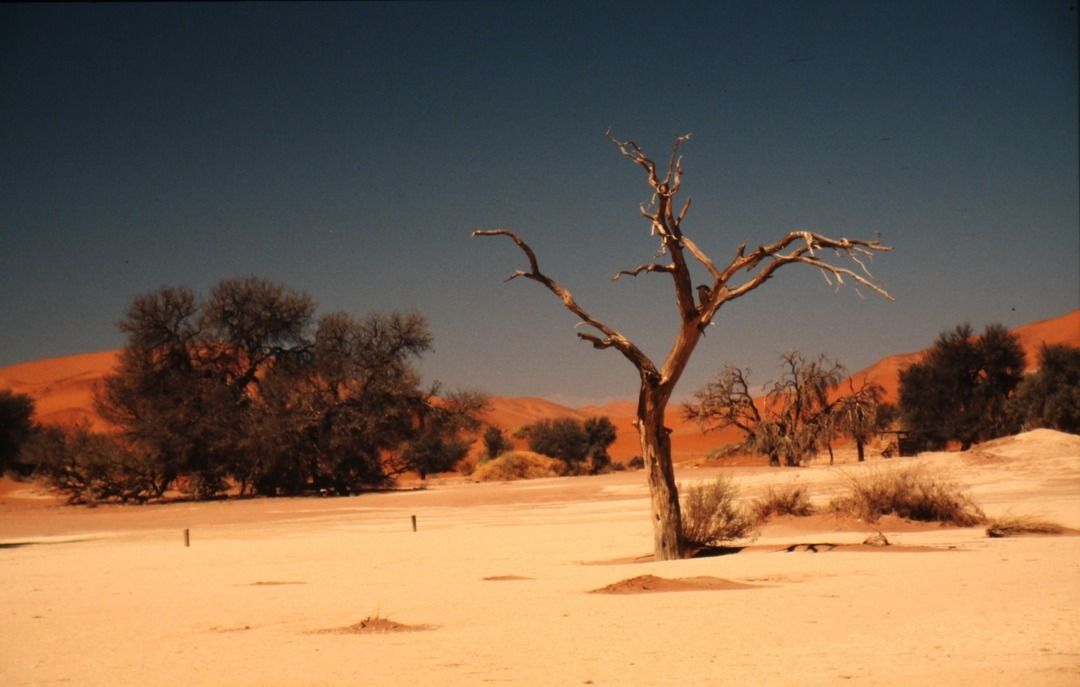 namib