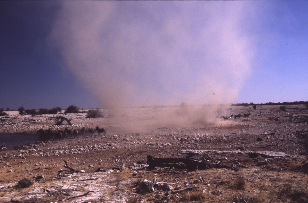 namib