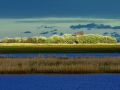 steffen schanz insel kirr in zingst steffen schanz insel kirr in zingst