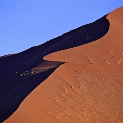 Namib 008