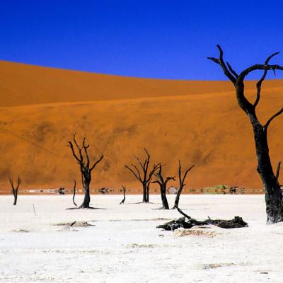 Namib 031